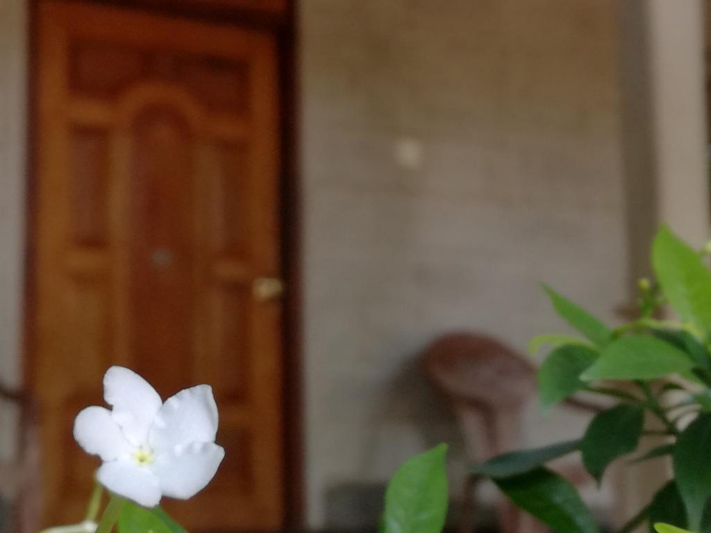 Gabaa Resort & Spa - Habarana Luaran gambar